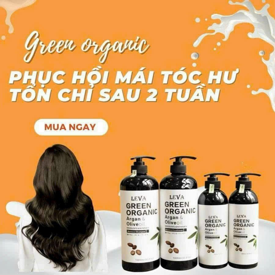 DẦU GỘI LEVA GREEN ORGANIC NHẬT BẢN CẶP 500ML 