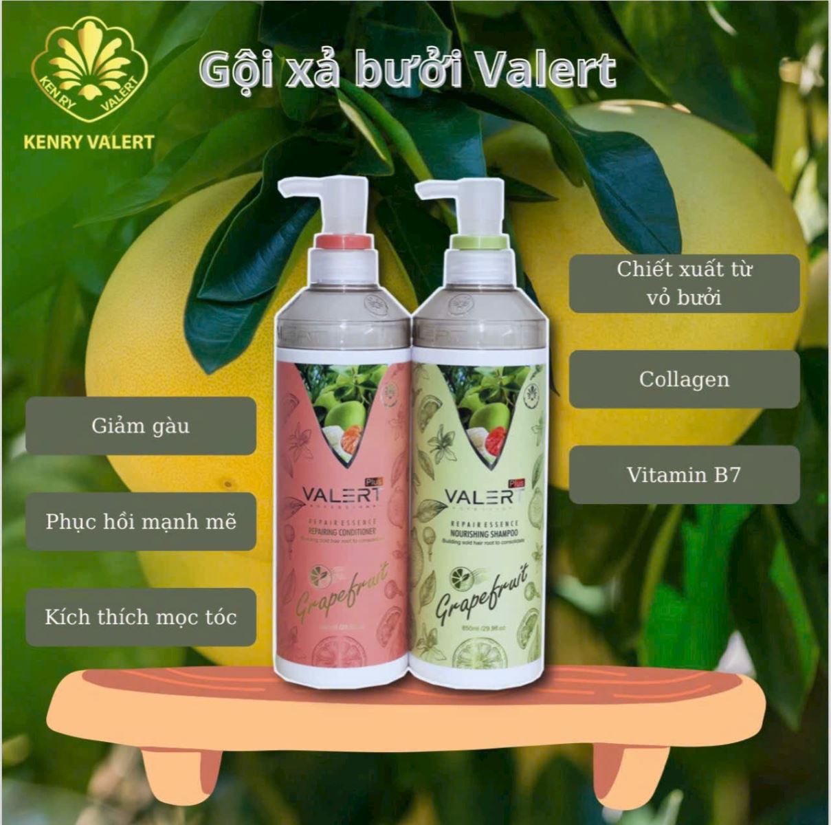 Cặp dầu gội xả bưởi Valert Grapefruit của Anh (chai 850ml)