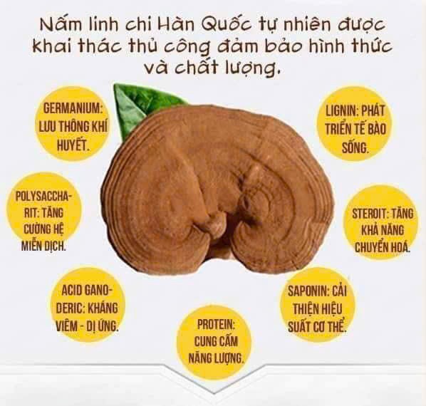 Nấm Linh Chi thái lát Hàn Quốc 500g