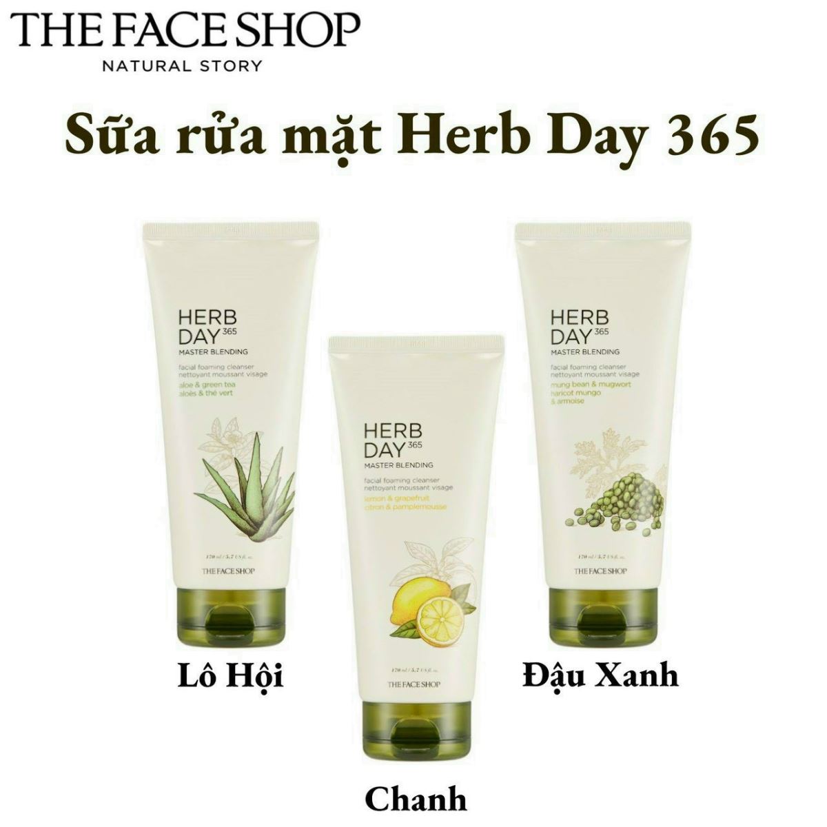 Sữa rửa mặt Herb Day 365 The Face Shop