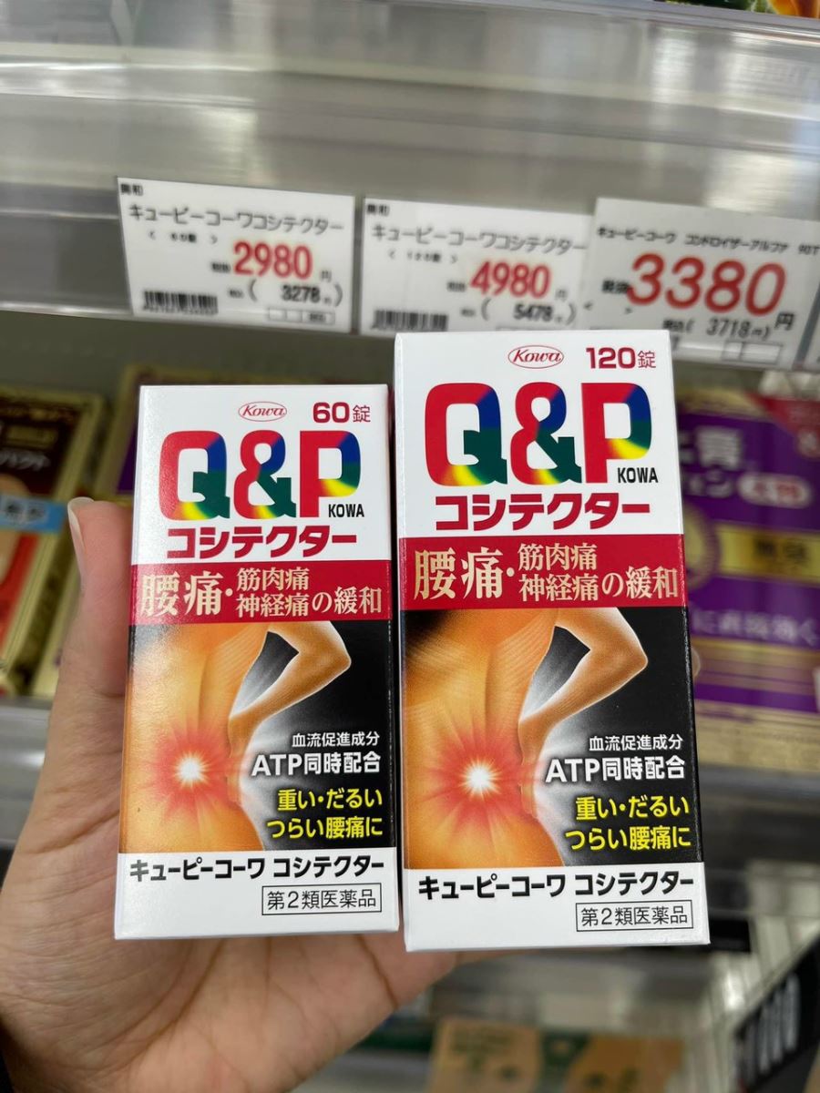 Viên uống đặc trị đau lưng Q&P Kowa Nhật Bản 120 viên